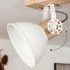 ORNY Ceiling Light Ecru, 4-light sources