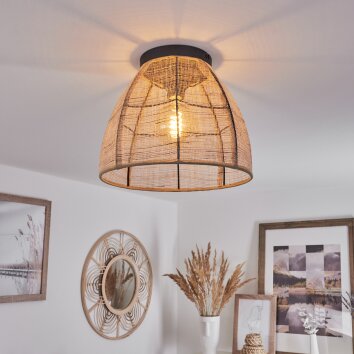 TEBARY Ceiling Light black, 1-light source