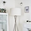 ANTILLO Floor Lamp matt nickel, 1-light source