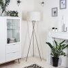 ANTILLO Floor Lamp matt nickel, 1-light source
