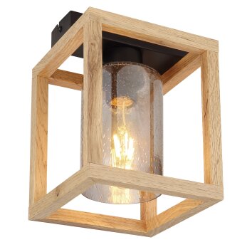 Globo PETTEY Ceiling Light black, 1-light source