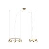 Mantra SHELL Pendant Light LED gold, 14-light sources