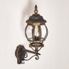 Lentua Outdoor Wall Light brown, gold, 1-light source, Motion sensor