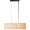 Brilliant-Leuchten WIMEA Pendant Light black, 2-light sources