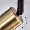 MAIDFORDO Ceiling Light brass, black, 4-light sources