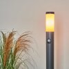GABORONE path light anthracite, 1-light source, Motion sensor