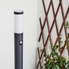 GABORONE path light anthracite, 1-light source, Motion sensor