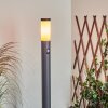 GABORONE path light anthracite, 1-light source, Motion sensor