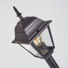 NAOFE path light black, 1-light source