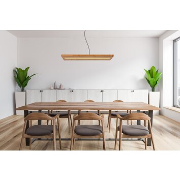 Globo ALINA Pendant Light LED black, 1-light source