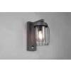 Trio-Leuchten TUELA Wall Light anthracite, 1-light source, Motion sensor