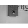 Trio-Leuchten TUELA Wall Light anthracite, 1-light source, Motion sensor