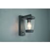 Trio-Leuchten CAVADO Wall Light anthracite, 1-light source, Motion sensor