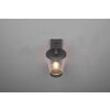 Trio-Leuchten CAVADO Wall Light anthracite, 1-light source, Motion sensor