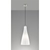 Fischer-Honsel ZEAL Pendant Light matt nickel, 1-light source