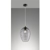 Fischer-Honsel GORDES Pendant Light black, 1-light source