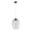 Fischer-Honsel GORDES Pendant Light black, 1-light source