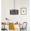 Fischer-Honsel TED Pendant Light black, 1-light source