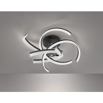 Fischer-Honsel SUND TW Ceiling Light LED black, 4-light sources, Remote control