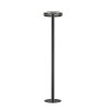Paul-Neuhaus Q-VITO Floor Lamp LED anthracite, 3-light sources, Remote control