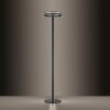 Paul-Neuhaus Q-VITO Floor Lamp LED anthracite, 3-light sources, Remote control
