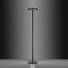 Paul-Neuhaus Q-VITO Floor Lamp LED anthracite, 3-light sources, Remote control