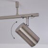 JAVEL Ceiling Light chrome, matt nickel, 6-light sources