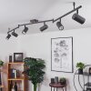 JAVEL Ceiling Light brown, grey, Wood like finish, black, 6-light sources