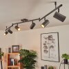 JAVEL Ceiling Light brown, grey, Wood like finish, black, 6-light sources