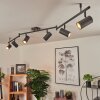 JAVEL Ceiling Light brown, grey, Wood like finish, black, 6-light sources