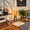 DULCITA Table lamp brass, 1-light source