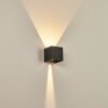 TAMARIN Outdoor Wall Light LED anthracite, 1-light source