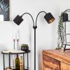 ALSEN Floor Lamp black, 2-light sources