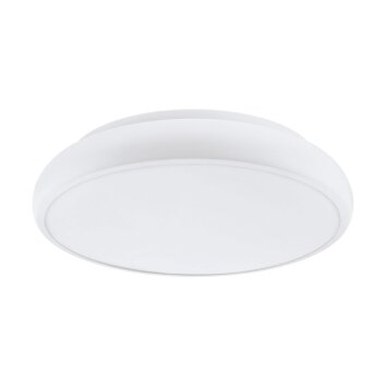 EGLO CONNECT RIODEVA-C Ceiling Light LED white, 1-light source, Colour changer