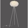 Leuchten-Direkt LOLASMART-NAOMI Floor Lamp LED white, 1-light source, Remote control, Colour changer