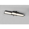 Trio-Leuchten CHARLESTON Ceiling Light LED anthracite, 2-light sources