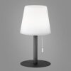 FHL-easy GARDEN Table lamp LED anthracite, 1-light source, Colour changer
