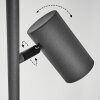 JAVEL Floor Lamp grey, Wood like finish, black, 3-light sources