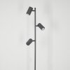 JAVEL Floor Lamp grey, Wood like finish, black, 3-light sources