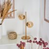 ALDEN Table lamp brass, 2-light sources