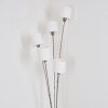 ALSEN Floor Lamp matt nickel, 5-light sources