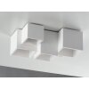 Luce-Design FOSTER Ceiling Light can be painted with regular paint, white, 5-light sources