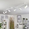 JAVEL Ceiling Light chrome, white, 6-light sources
