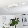 VASEUX Ceiling Light LED white, 1-light source