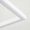 VASEUX Ceiling Light LED white, 1-light source