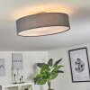 TVEID Ceiling Light matt nickel, 3-light sources