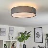 TVEID Ceiling Light matt nickel, 3-light sources