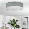 TVEID Ceiling Light matt nickel, 3-light sources