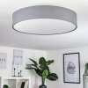 TVEID Ceiling Light matt nickel, 5-light sources