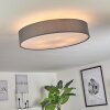 TVEID Ceiling Light matt nickel, 5-light sources